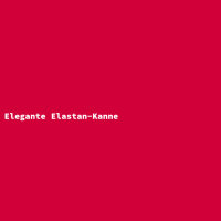 Elegante Elastan-Kanne